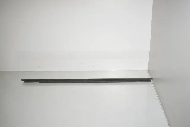 Rear Right Door Window Strip