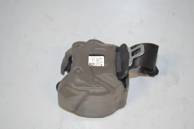 Rear Right Seatbelt