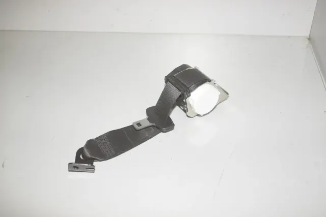 Rear Left Seatbelt