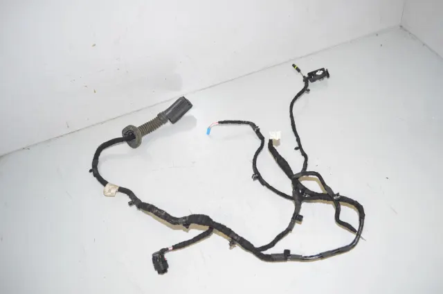 Rear Left Door Wiring