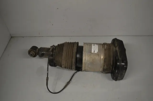 Rear Left Shock Absorber