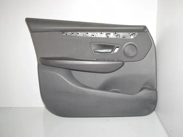 Front Left Door Panel