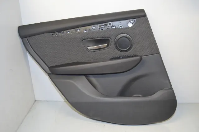 Rear Left Door Panel