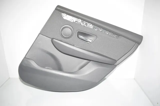 Rear Right Door Panel