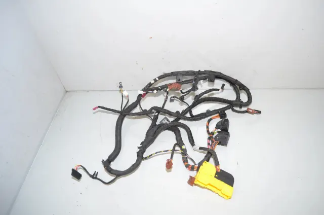 Other Wiring Loom