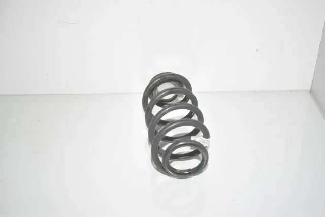 Rear Left Coil Spring