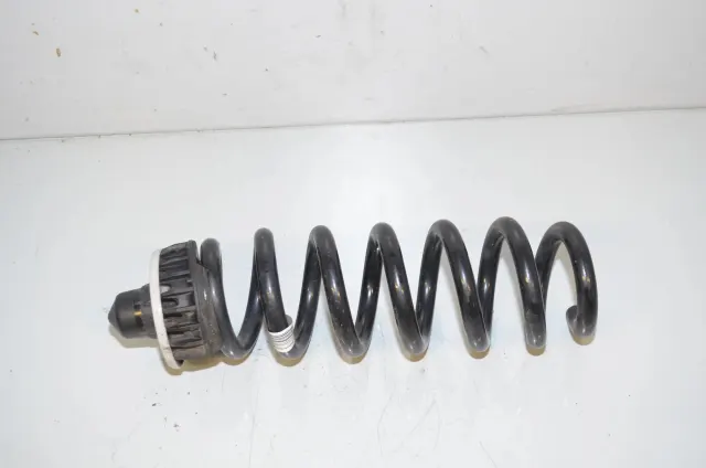 Rear Left Coil Spring