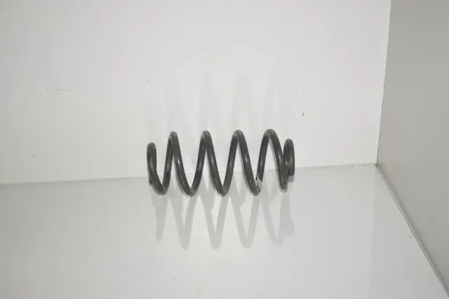 Rear Left Coil Spring