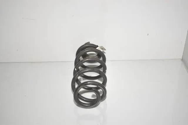 Rear Left Coil Spring