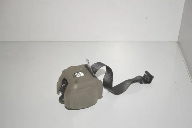 Rear Left Seatbelt