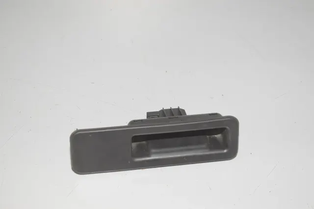 Tailgate Handle