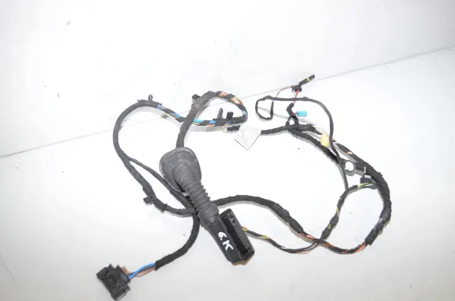 Rear Left Door Wiring