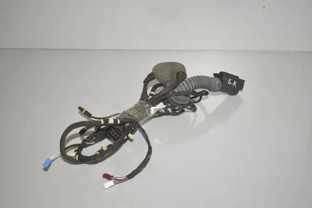 Rear Left Door Wiring