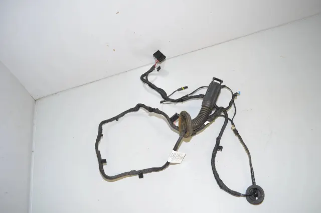 Rear Left Door Wiring