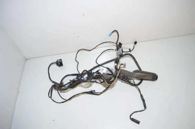 Rear Left Door Wiring