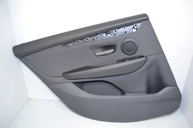 Rear Left Door Panel