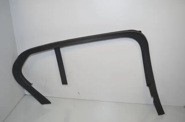 Rear Left Door Panel