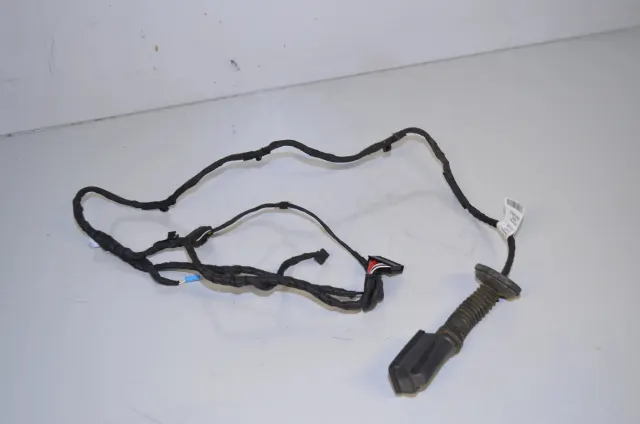 Rear Left Door Wiring