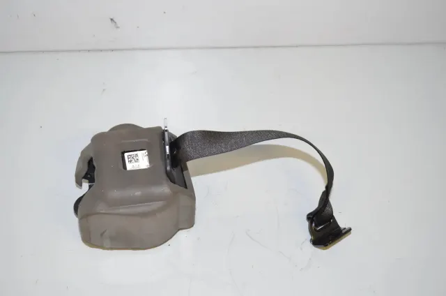 Rear Left Seatbelt
