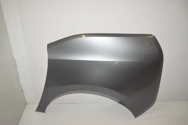 Rear Left Fender