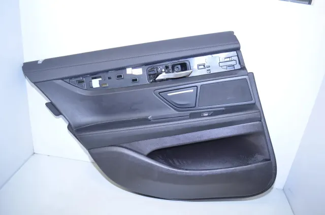 Rear Left Door Panel
