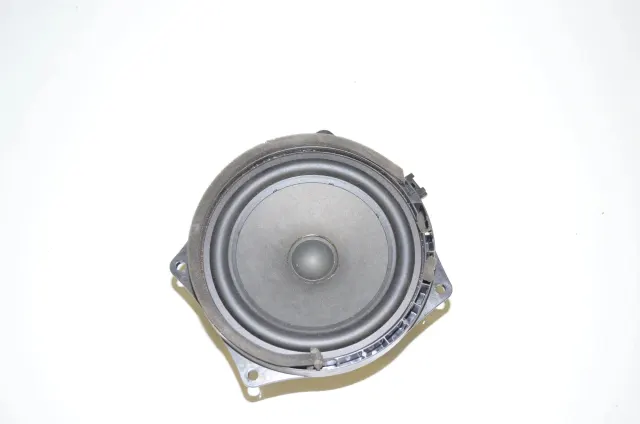 Front Left Door Speaker
