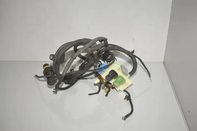Engine Cable Harness