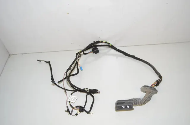 Rear Left Door Wiring