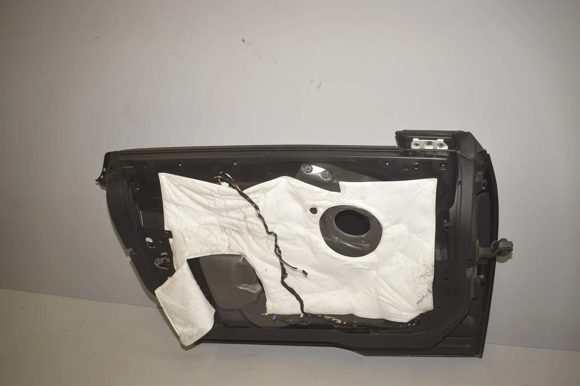 Front Left Door · BMW i3 (I01) s Electric 2022 – 6