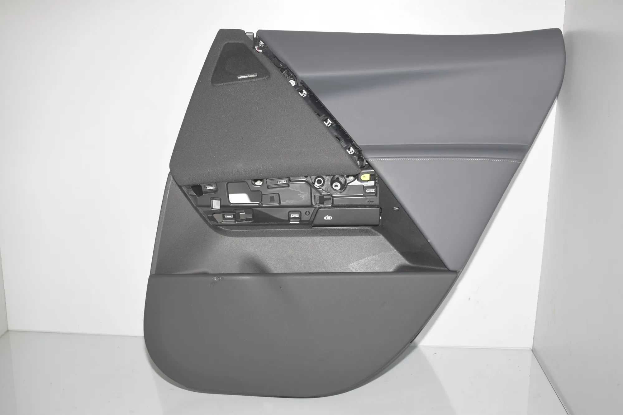 Rear Right Door Panel · BMW iX (I20) (2021 - -) xDrive 40 2021