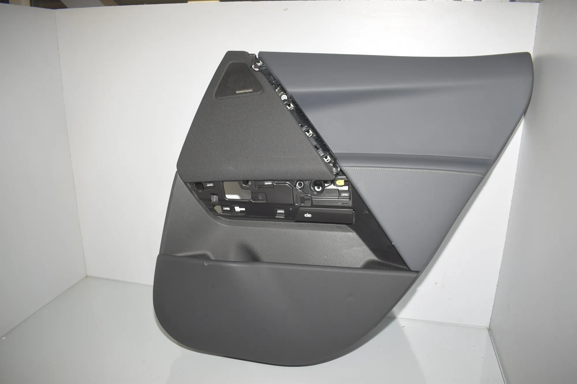 Rear Right Door Panel · BMW iX (I20) (2021 - -) xDrive 40 2021 – 4
