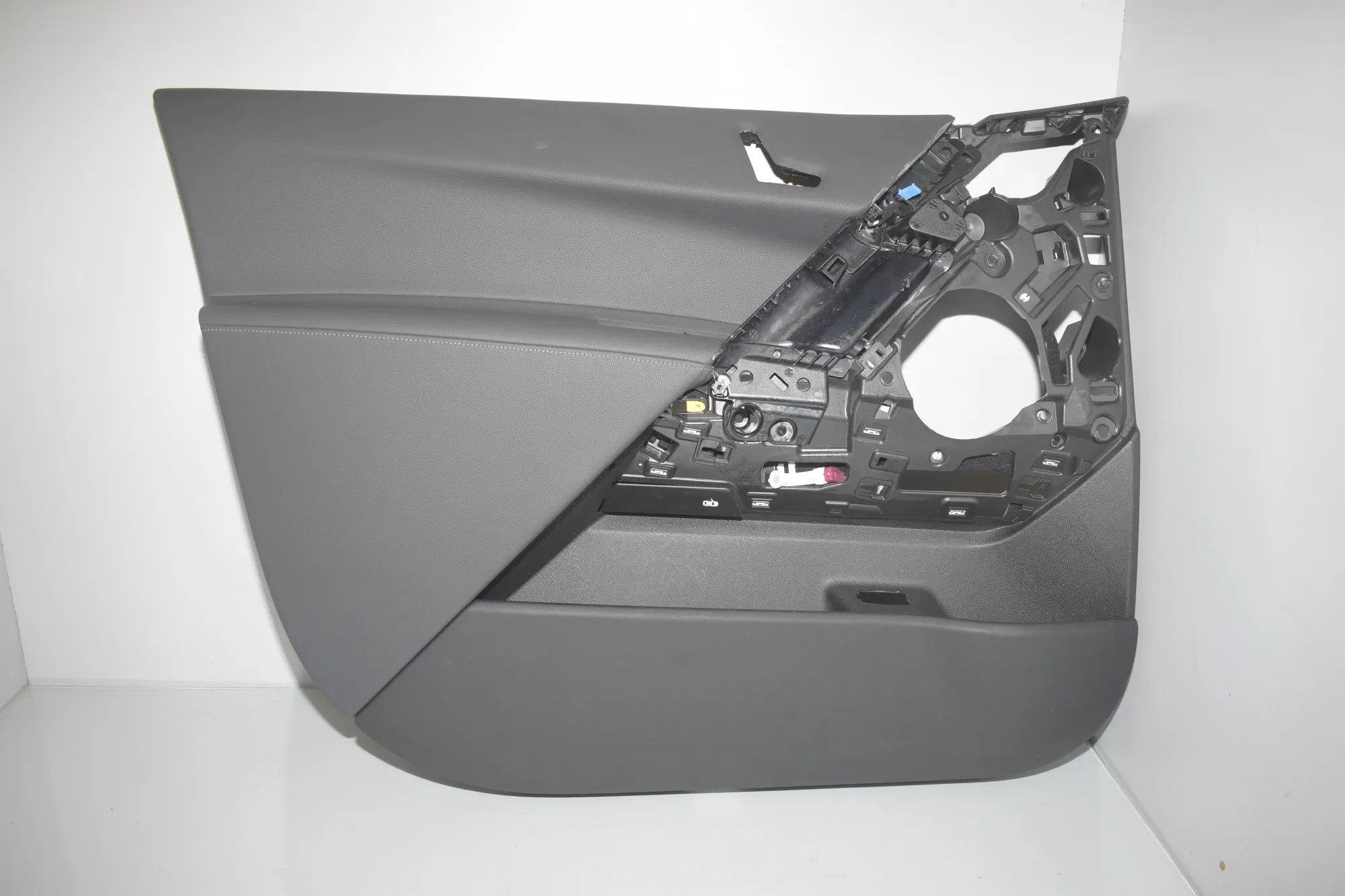 Front Left Door Panel · BMW iX (I20) (2021 - -) xDrive 40 2021 – 2