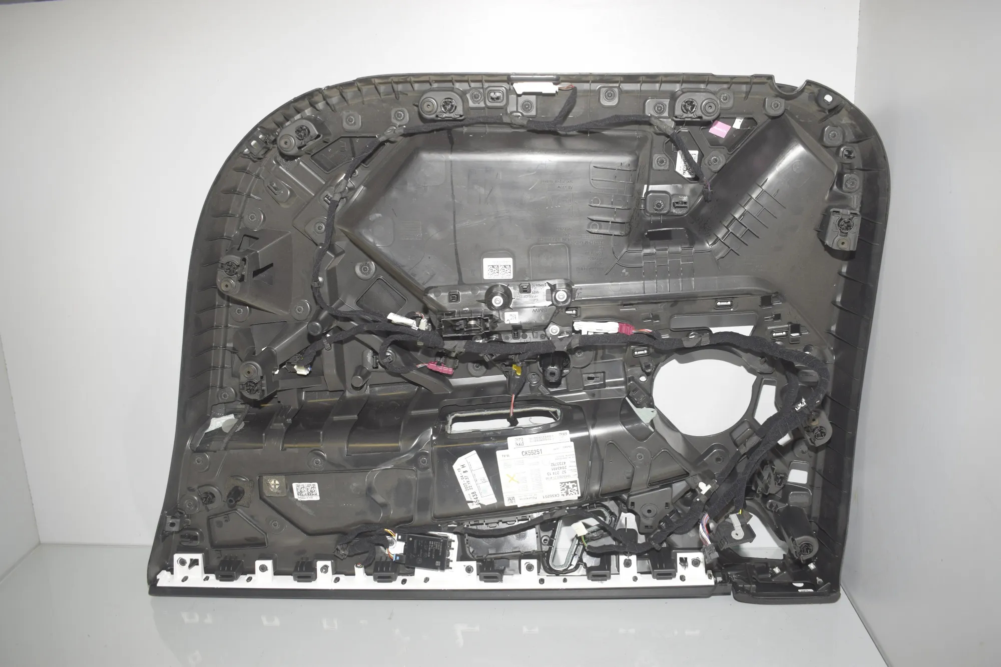 Front Left Door Panel · BMW iX (I20) (2021 - -) xDrive 40 2021 – 4