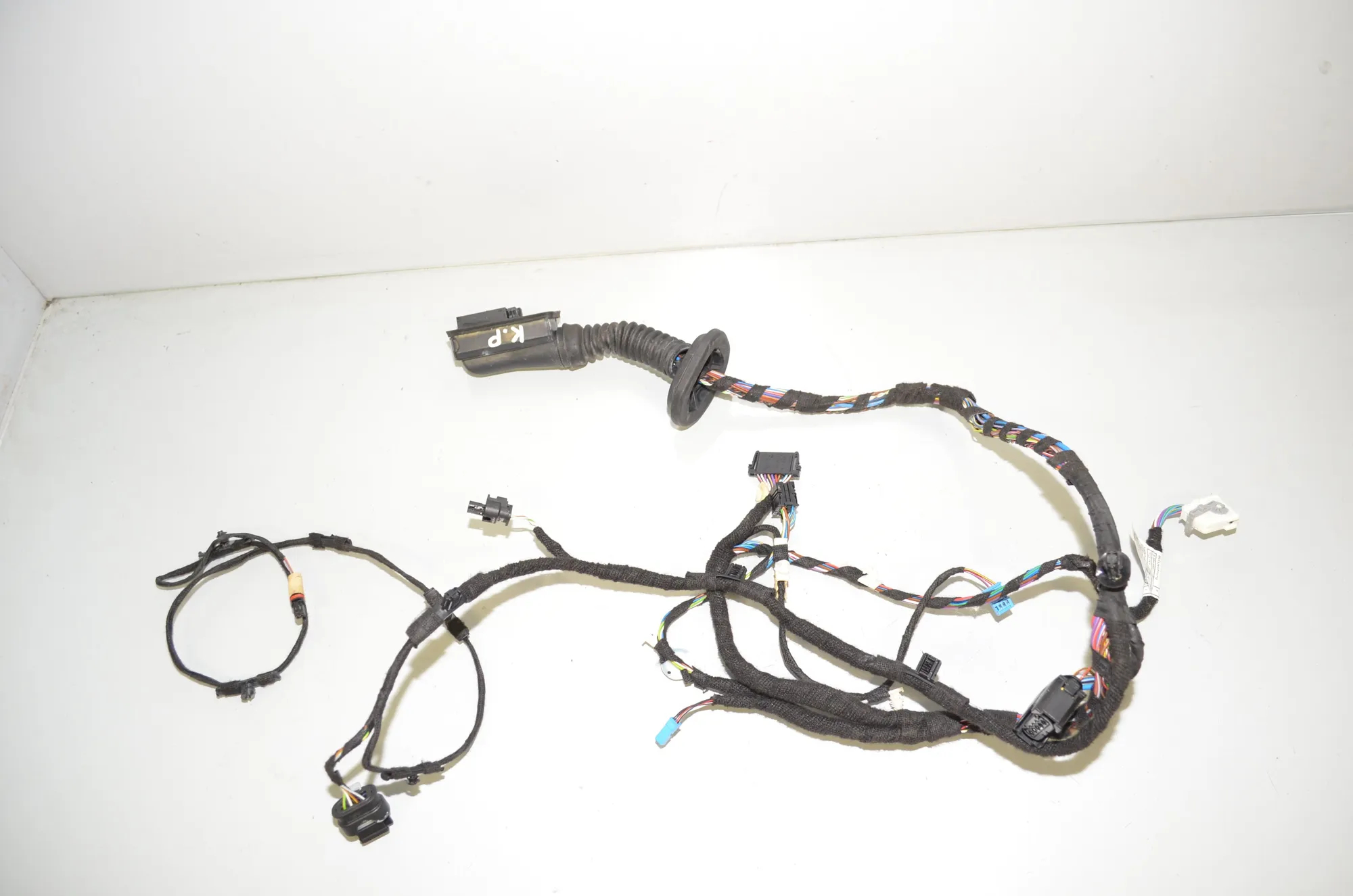 Front Left Door Wiring – OEM 9384569 · BMW X1 (F48) xDrive 20 d 2016