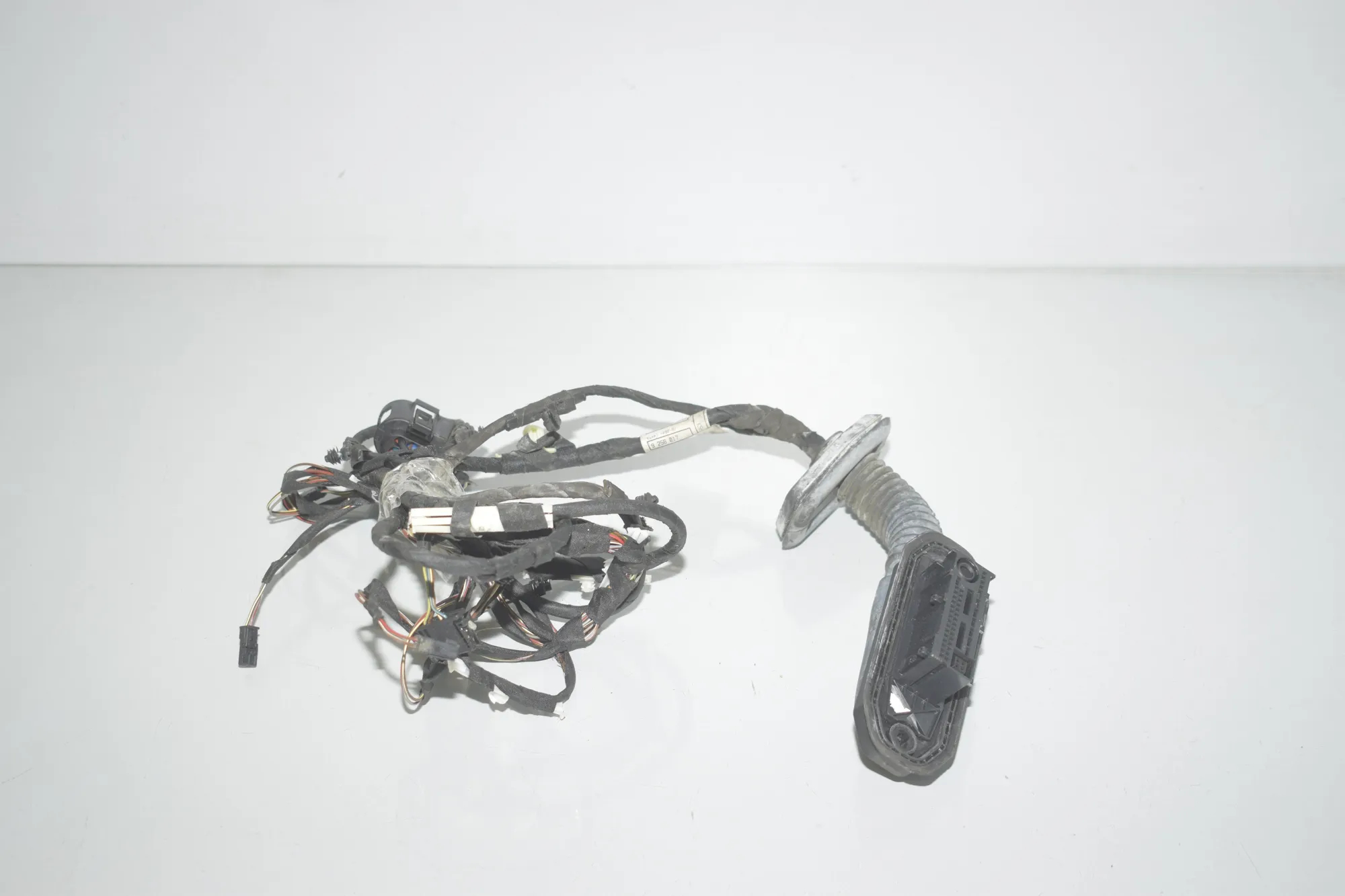 Rear Right Door Wiring – OEM 9256017 · BMW 5 Touring (F11) 530 d 2013 – 3