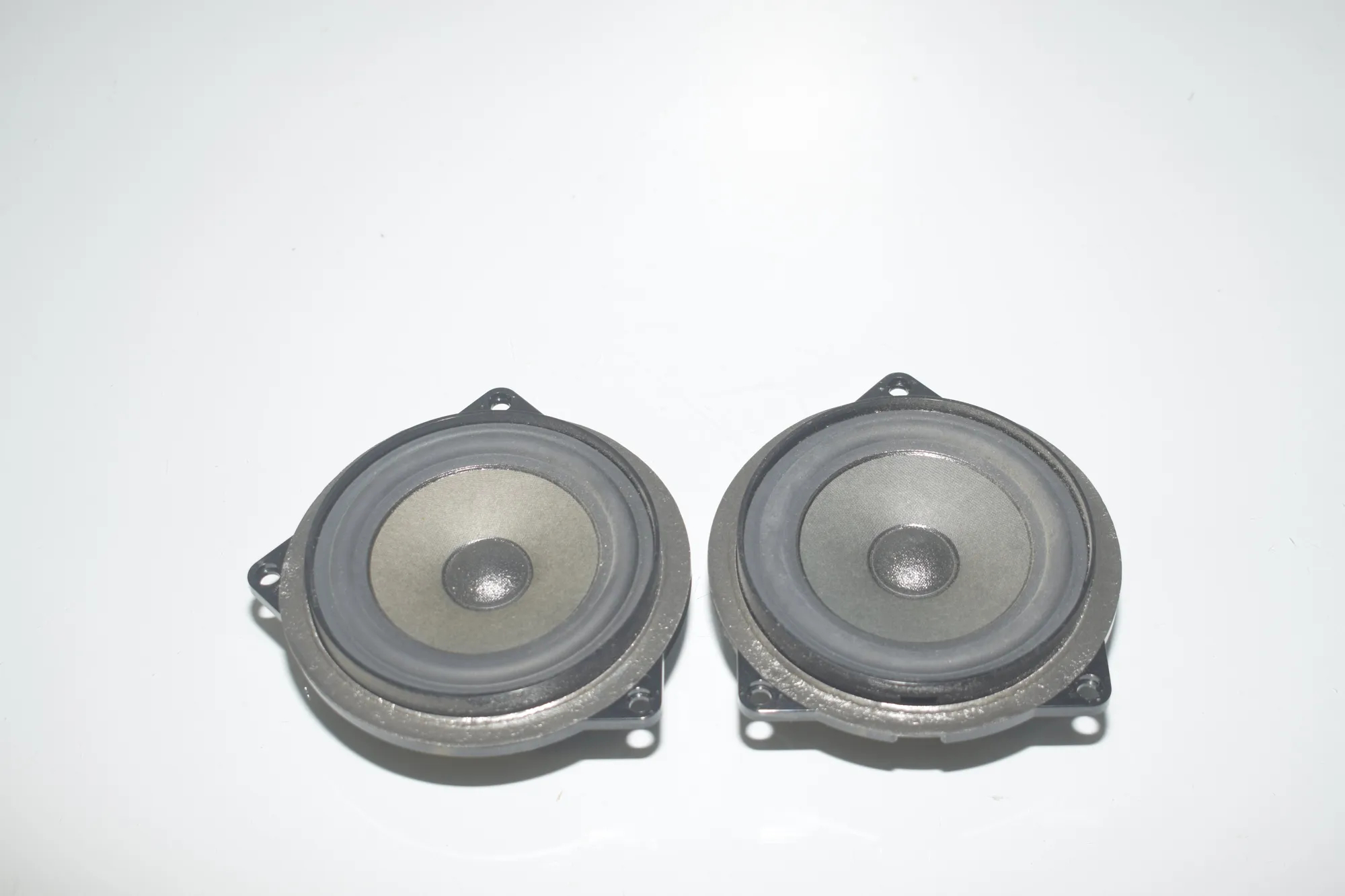 Front Left Door Speaker – OEM 9169692 · BMW 5 Touring (F11) 530 d xDrive 2013