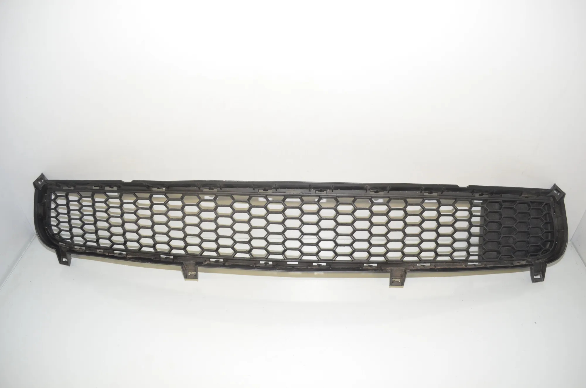 Front Bumper Lower Grill – OEM 8047339 · BMW X5 (E70) xDrive 40 d 2010