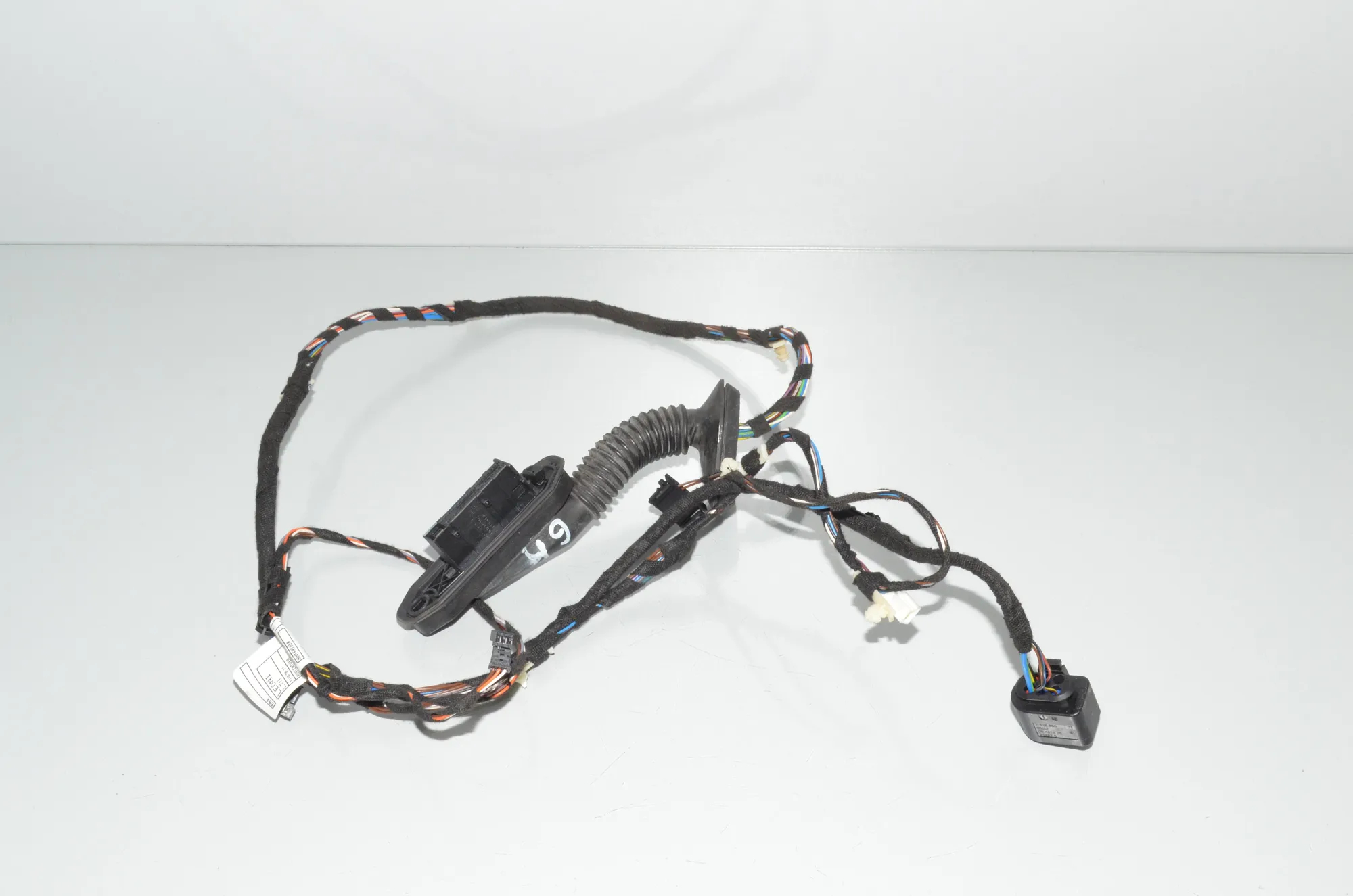 Rear Left Door Wiring – OEM 9269959 · BMW X1 (E84) xDrive 20 i 2014