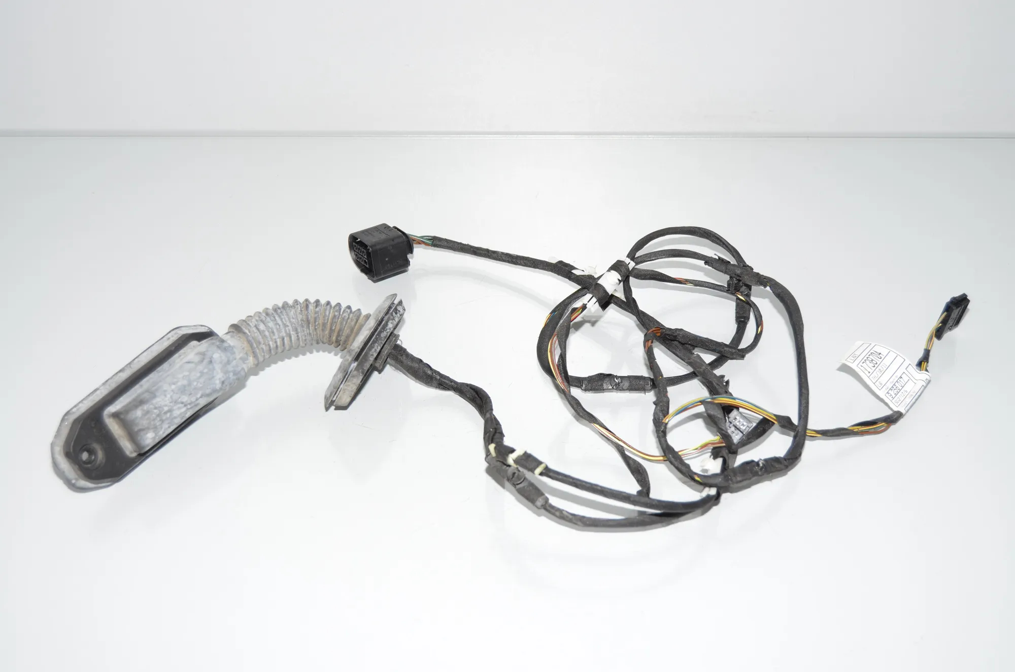 Rear Left Door Wiring – OEM 9256017 · BMW 5 (F10) 525 d 2012