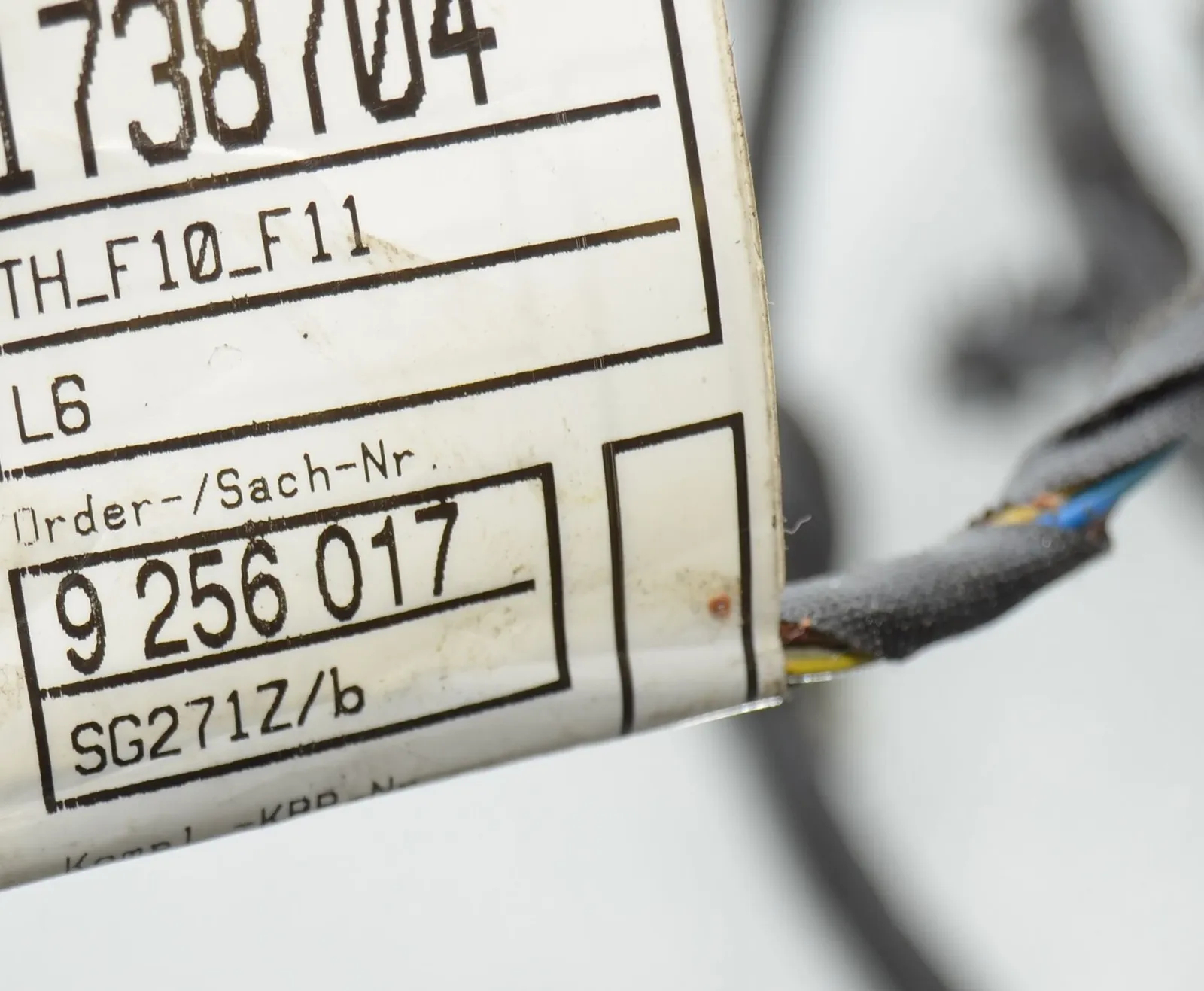 Rear Right Door Wiring – OEM 9256017 · BMW 5 (F10) 525 d 2012 – 5