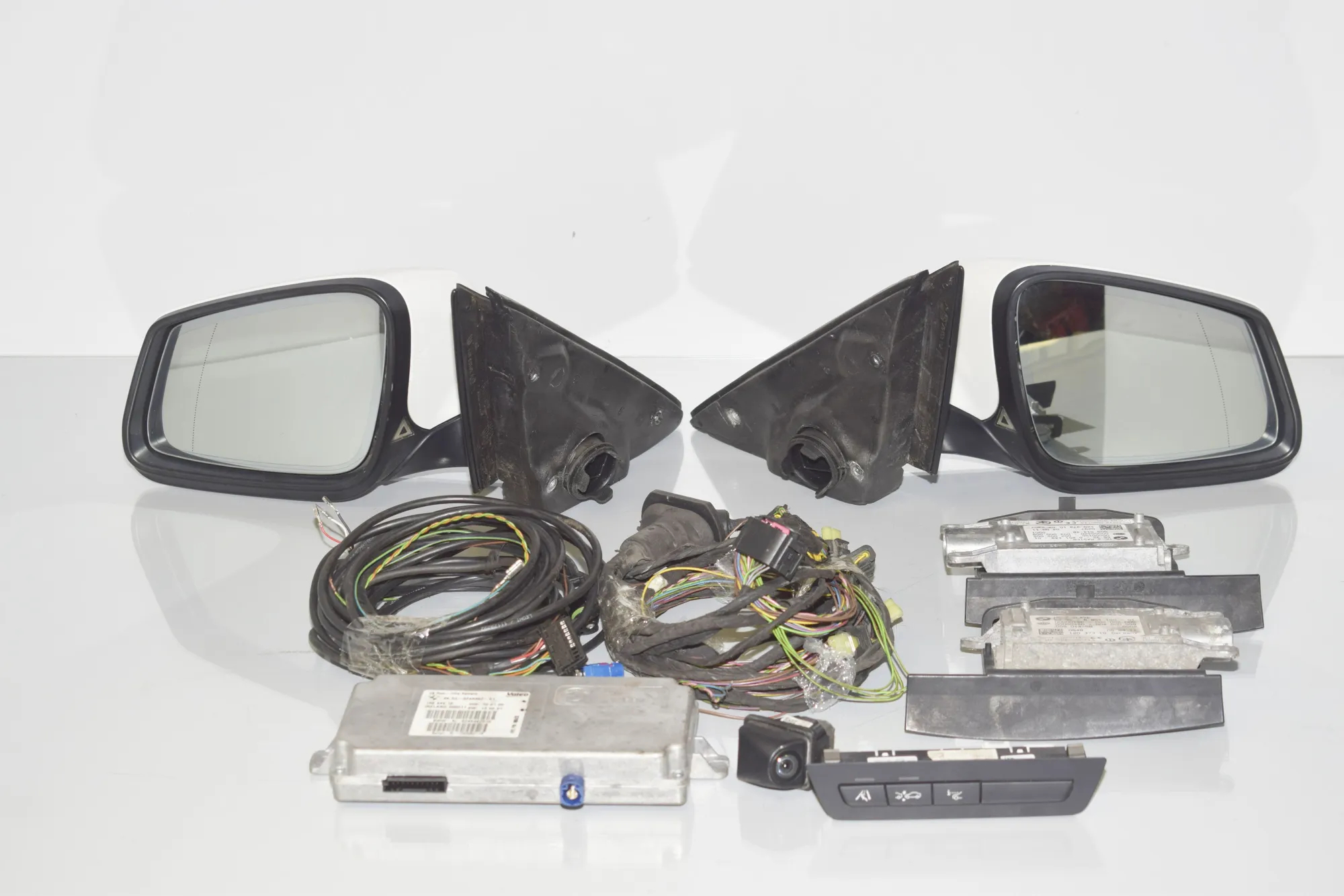 Blind Spot Control Module – OEM 6869508 · BMW 5 (F10) 530 d 2011