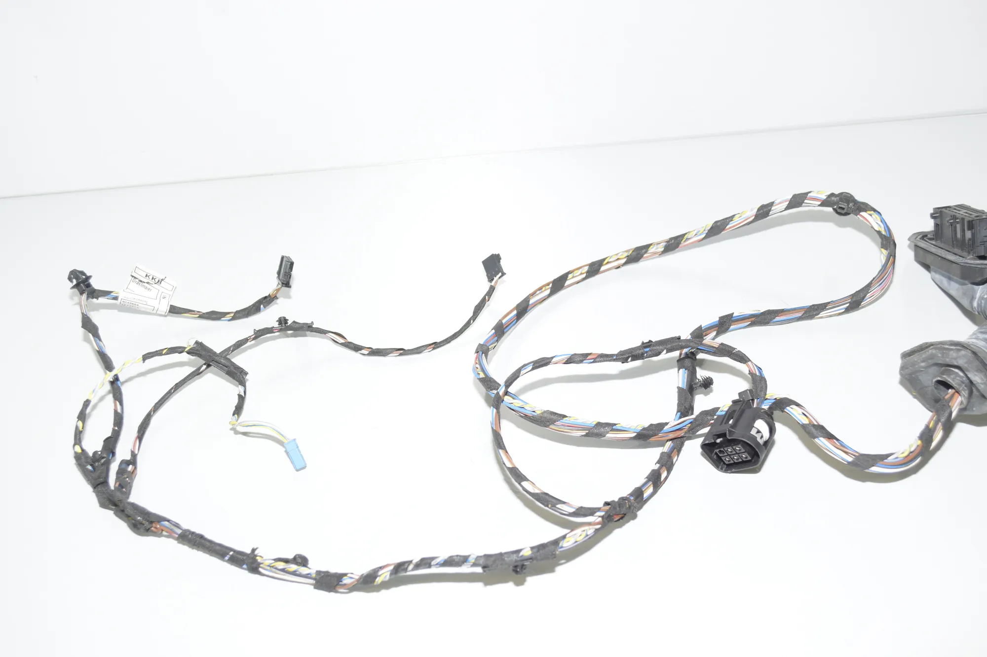 Rear Left Door Wiring – OEM 9243665 · BMW X3 (F25) xDrive 20 d 2012 – 2
