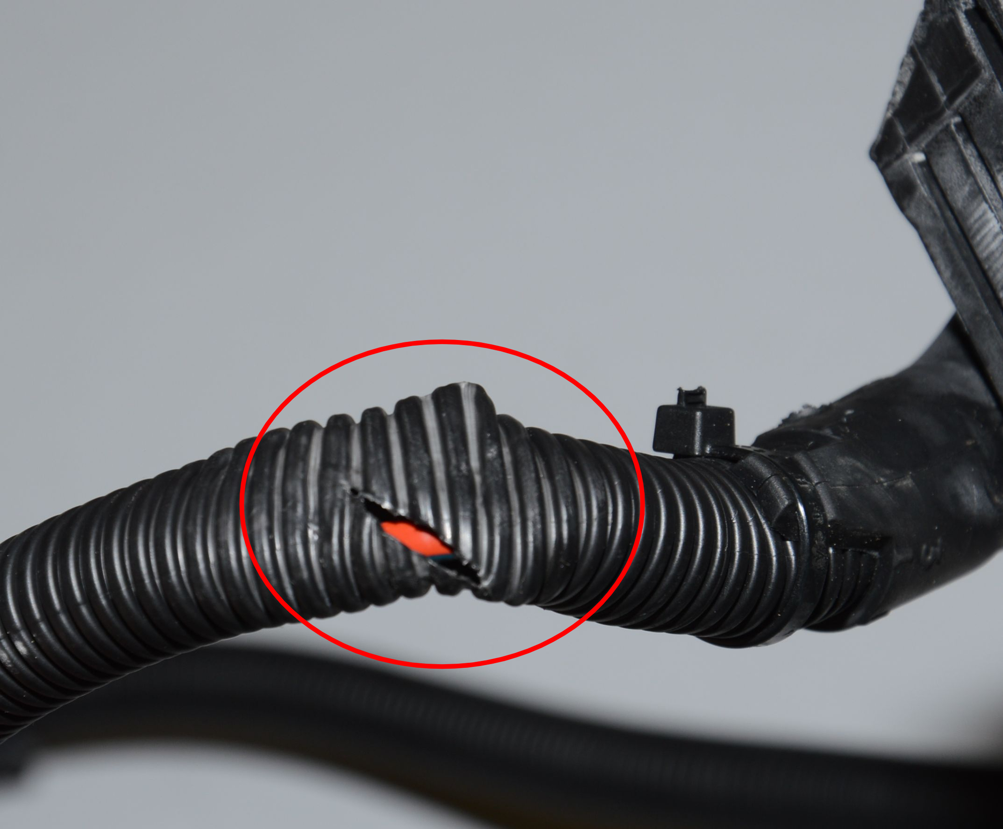 Engine Cable Harness – OEM 7823757 · BMW 5 Touring (F11) 530 d 2013 – 8