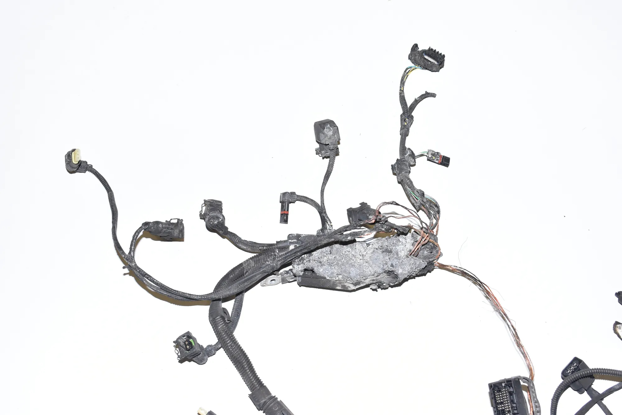 Cable Harness · BMW 4 Coupe (F32, F82) M4 2017 – 3