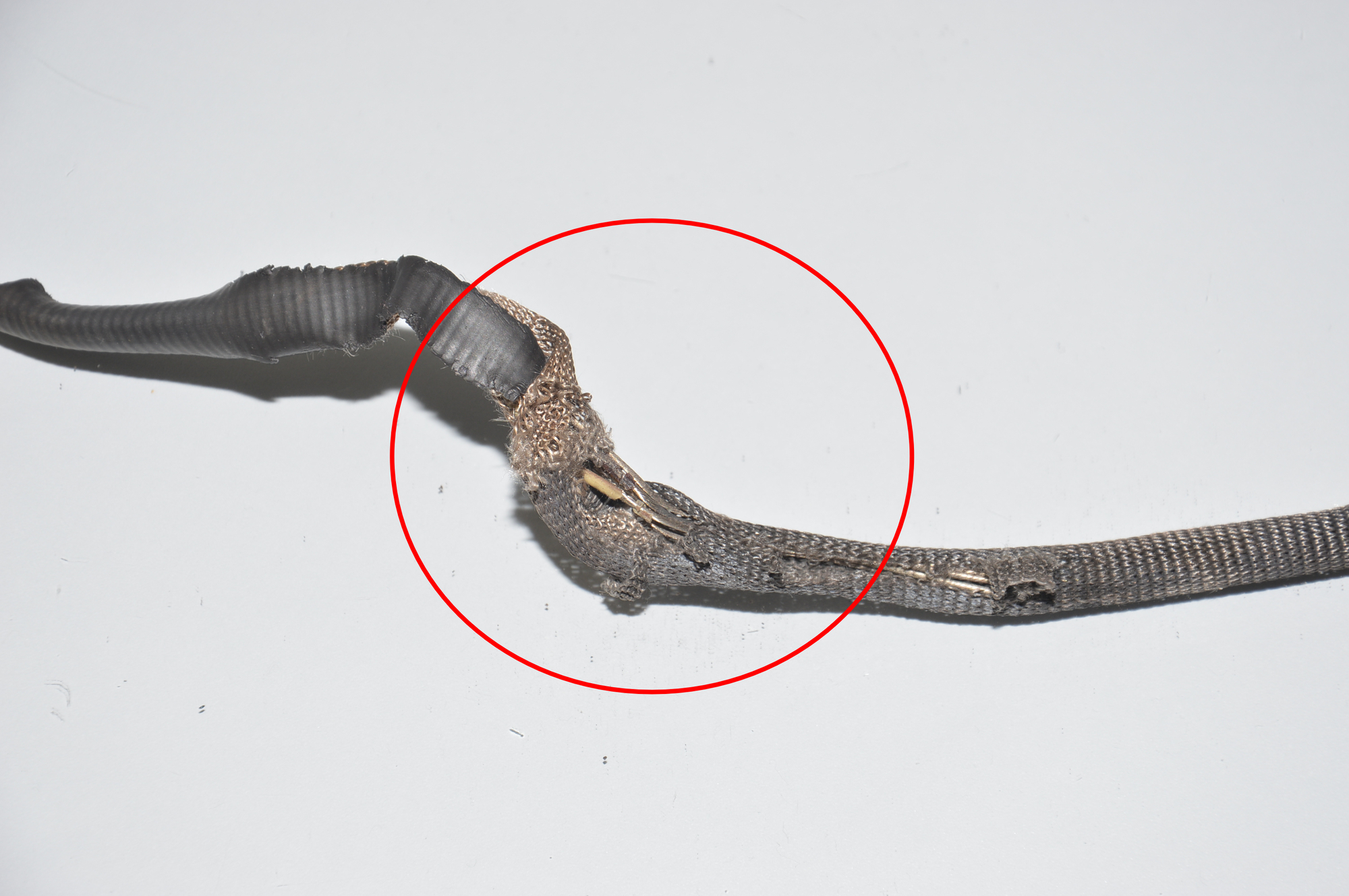 Lambda Oxygen Sensor – OEM 7848482 · BMW 4 Coupe (F32, F82) M4 2017 – 2