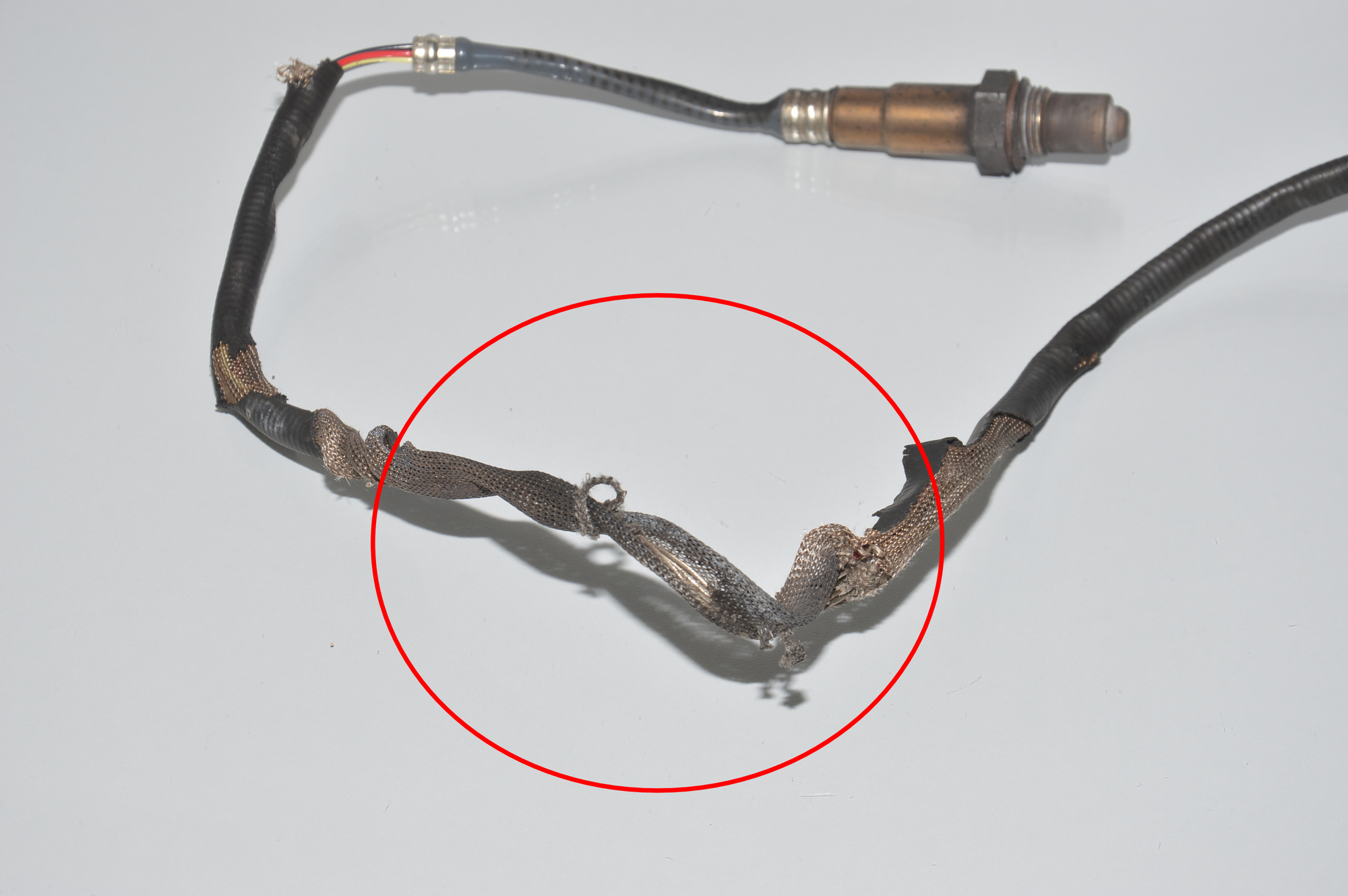 Lambda Oxygen Sensor – OEM 7848482 · BMW 4 Coupe (F32, F82) M4 2017 – 4