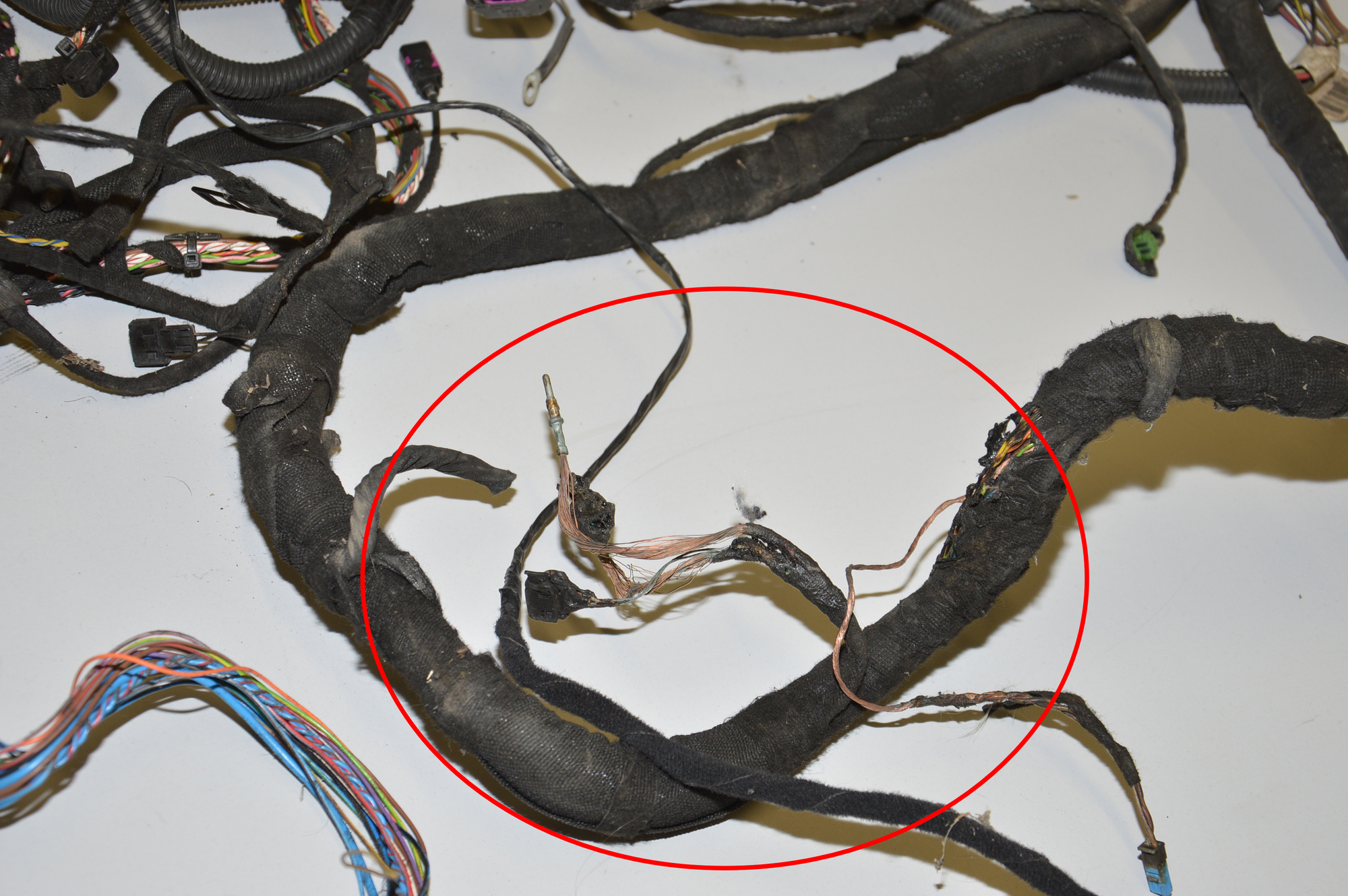 Cable Harness – OEM 8643723 · BMW i8 (I12) BMW i8 (I12) hybrid 2015 – 7