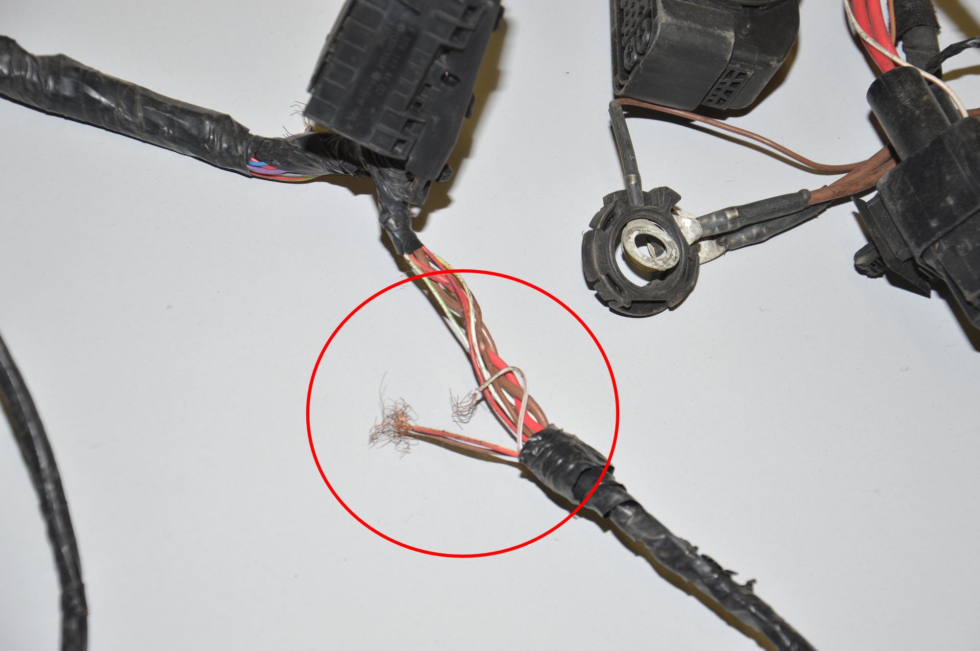 Cable Harness – OEM 9354924 · BMW i8 (I12) BMW i8 (I12) hybrid 2015 – 6