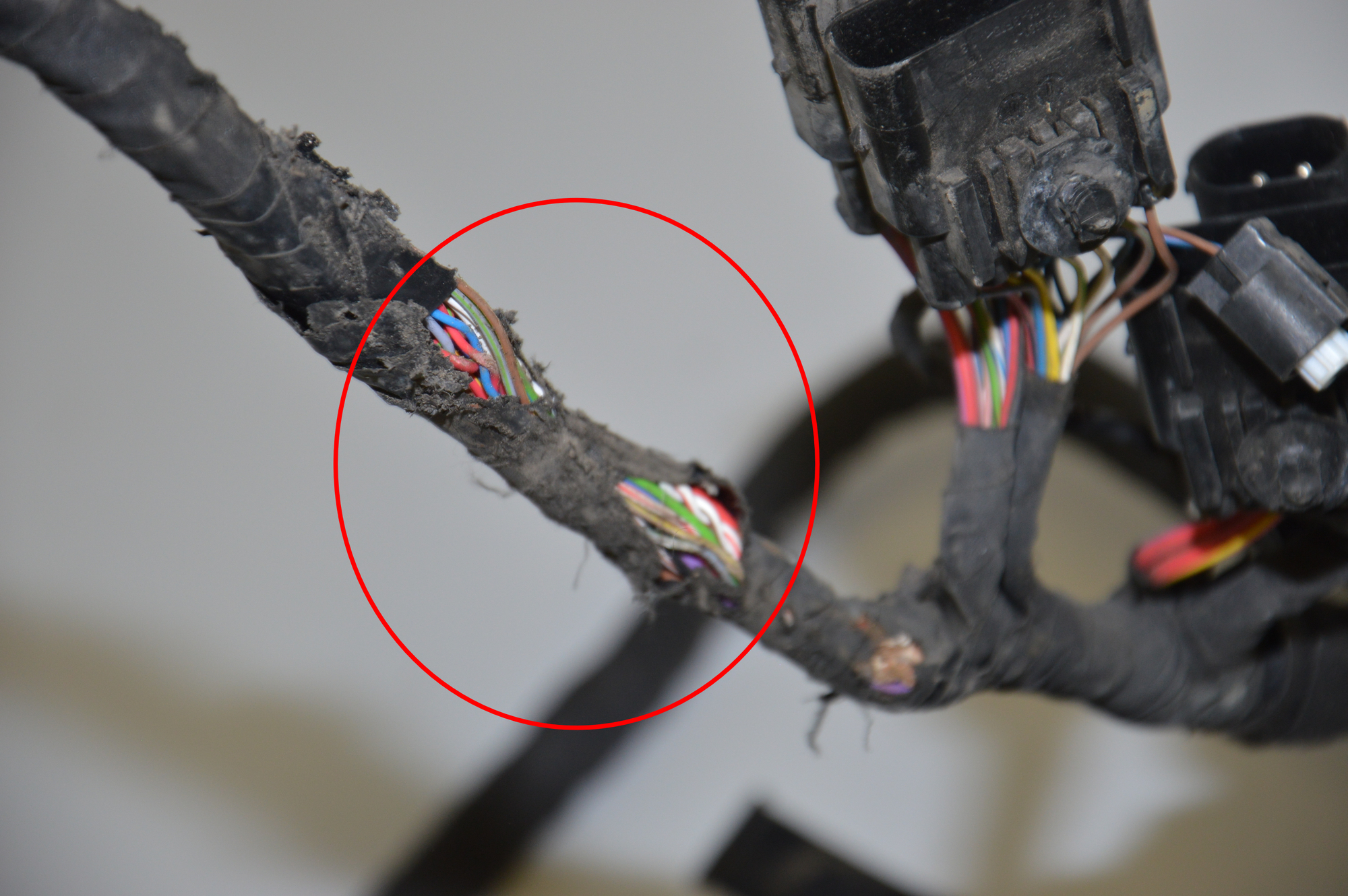 Cable Harness – OEM 9354924 · BMW i8 (I12) BMW i8 (I12) hybrid 2015 – 10