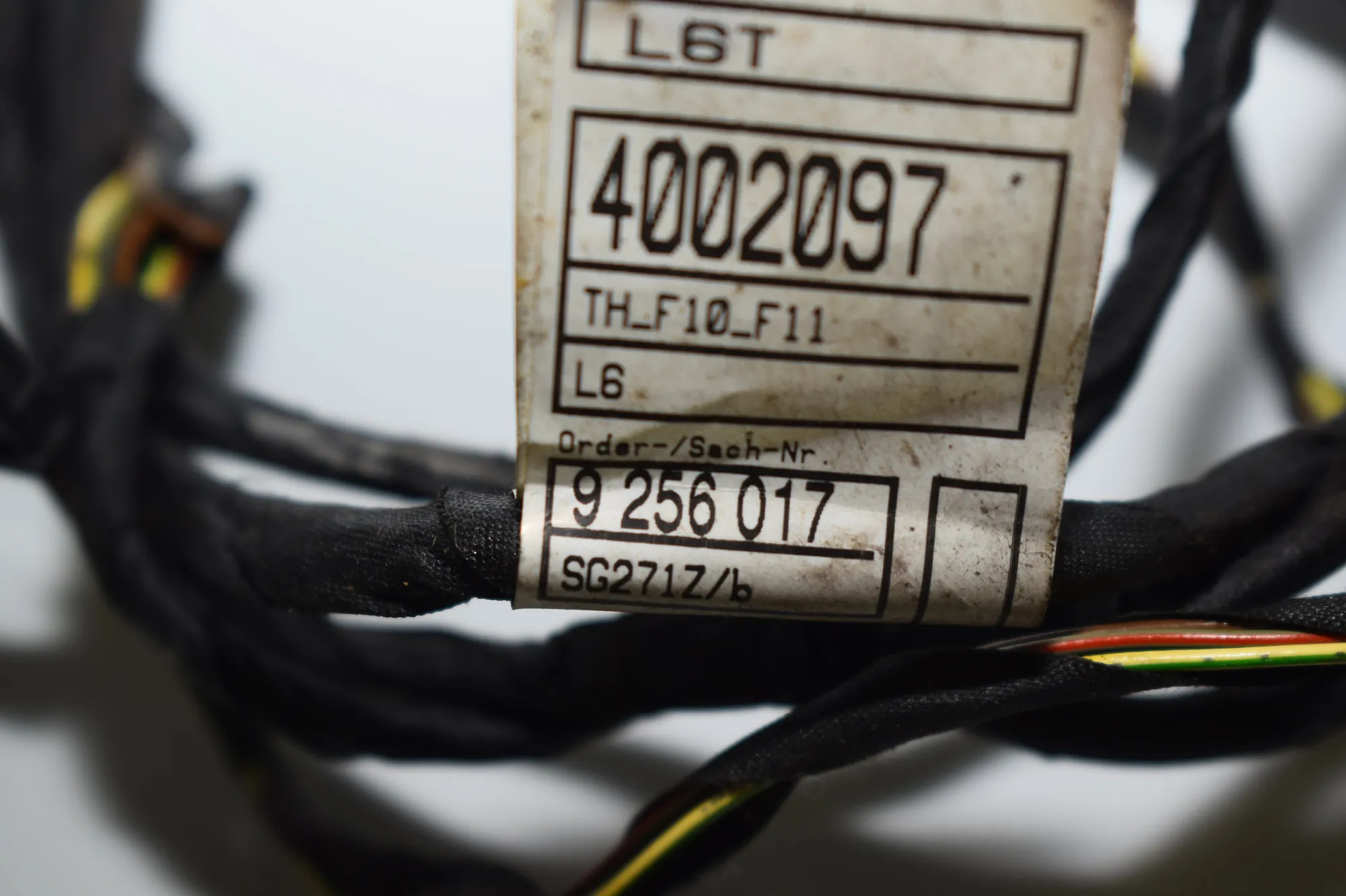 Rear Left Door Wiring – OEM 9256017 · BMW 5 (F10) 520 d 2011 – 4